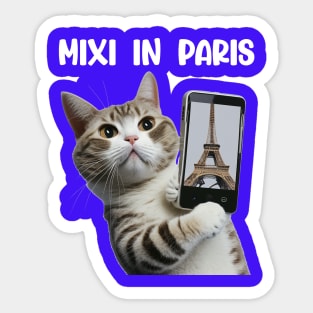 Mixi in Paris gay Paree funny cat Sticker